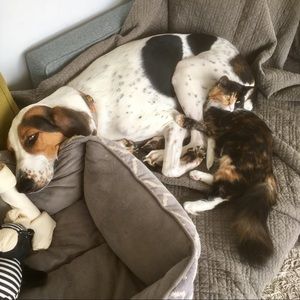 Meet your Posher, Becca